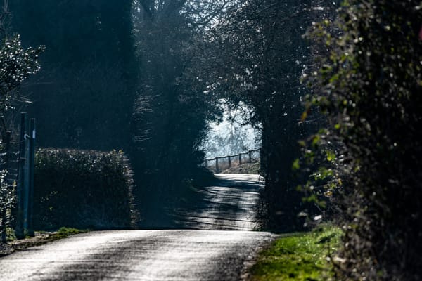 Going down, going up, going elsewhere